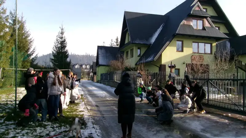 Film Ecology - image 6